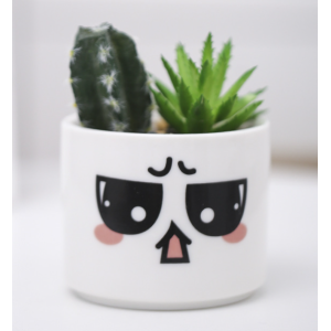 Cute Small Plant Pots 7*8.5 CM Angry Emoji
